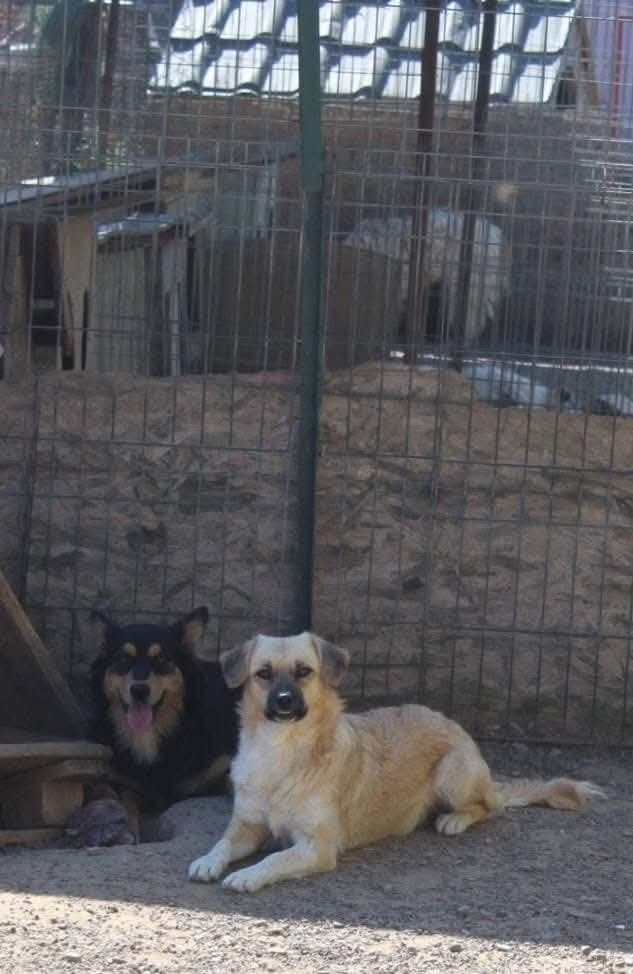 ❤️Lara❤️ photo 7