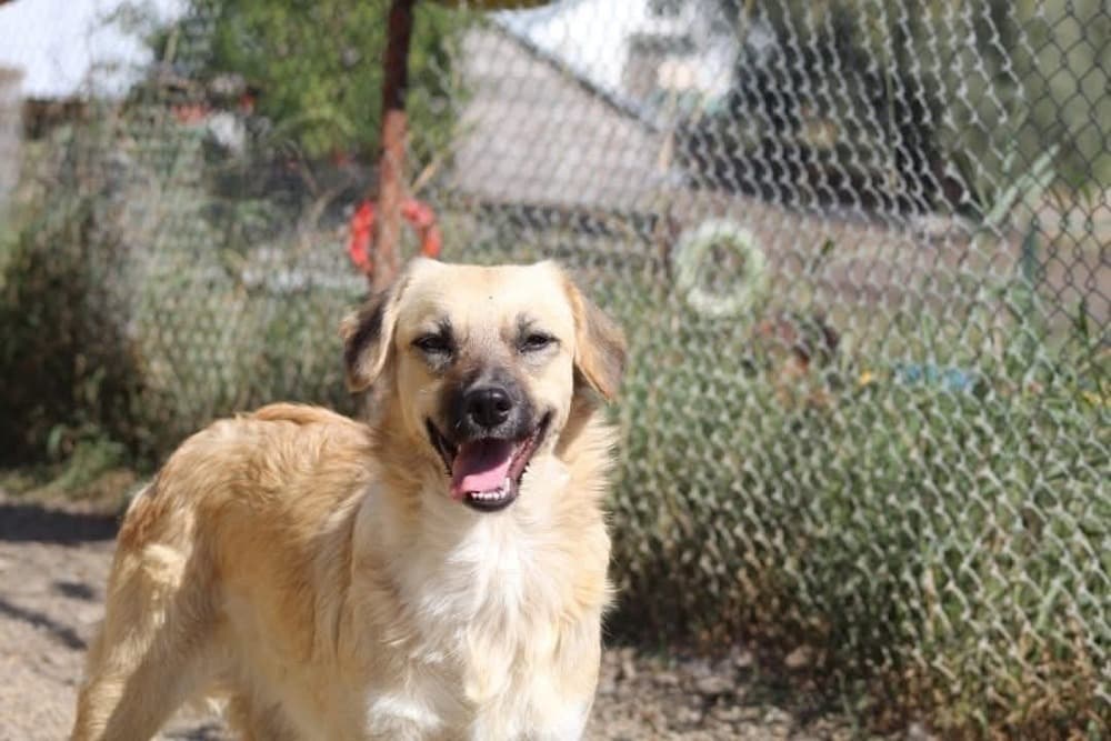 ❤️Lara❤️ photo 2