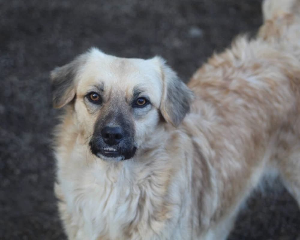 ❤️Lara❤️ photo 3