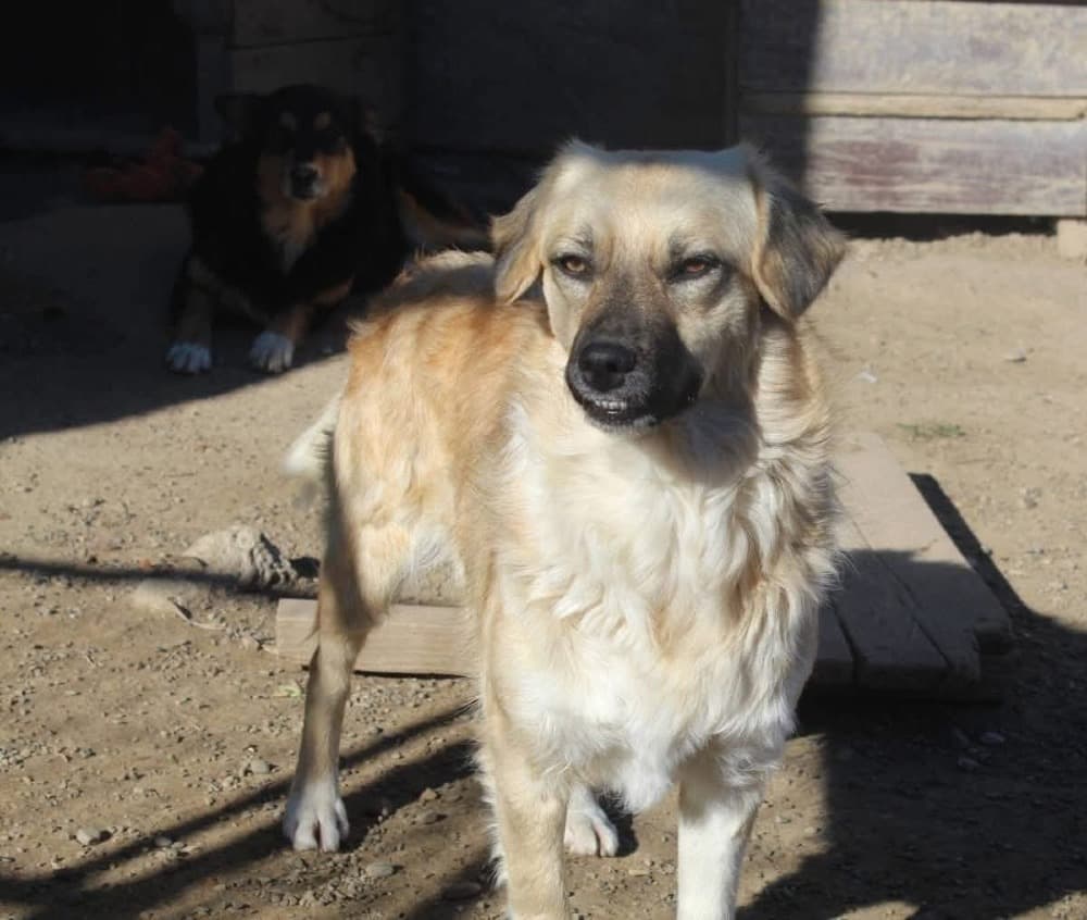 ❤️Lara❤️ photo 5