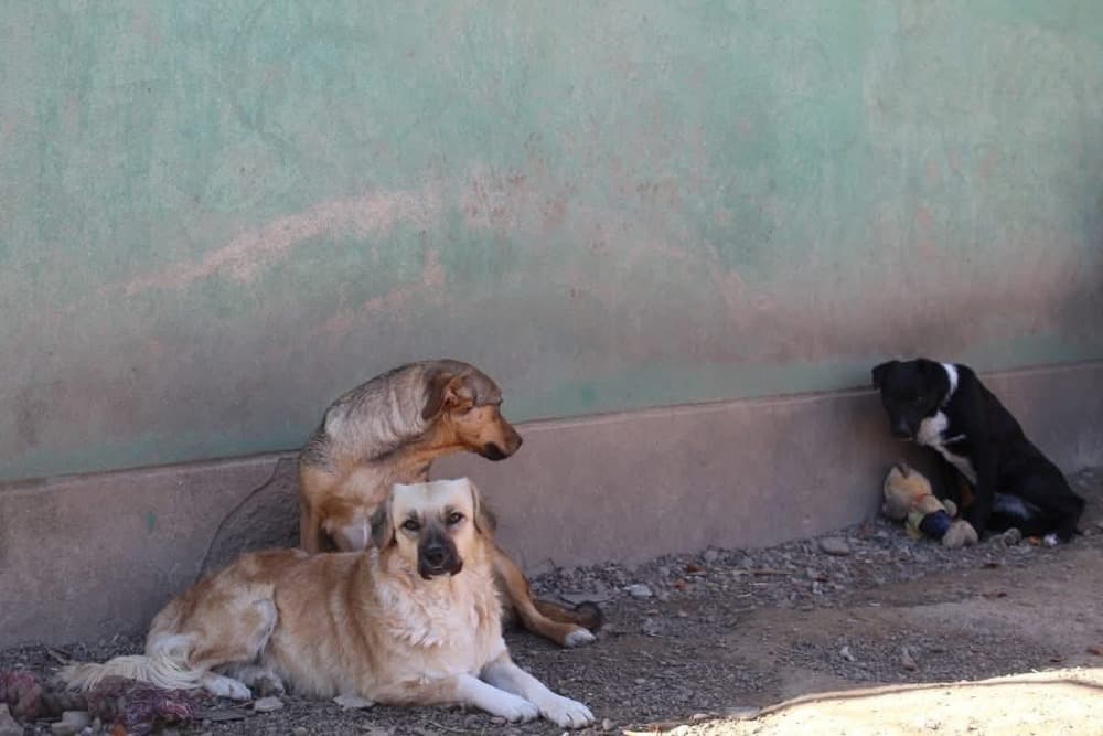 ❤️Lara❤️ photo 6