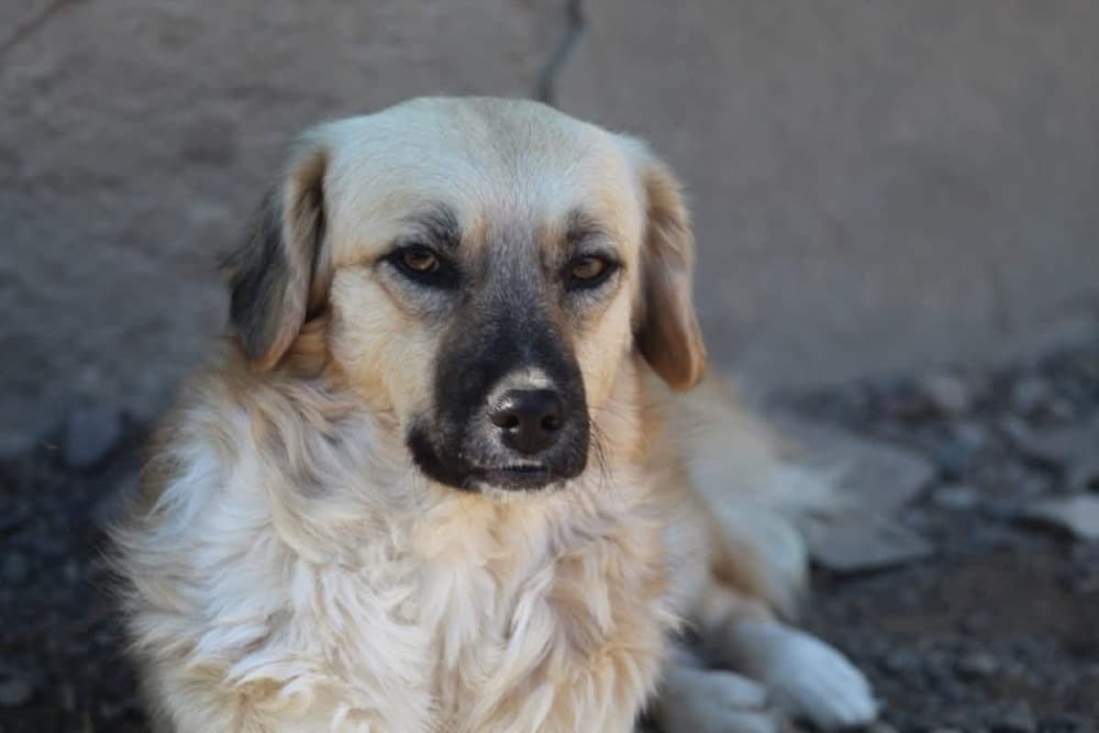 ❤️Lara❤️ photo 8