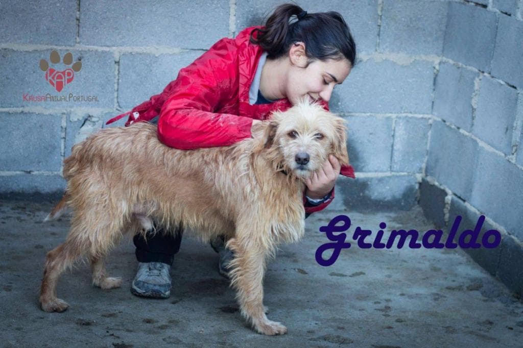 PETIFYC10447 photo 3