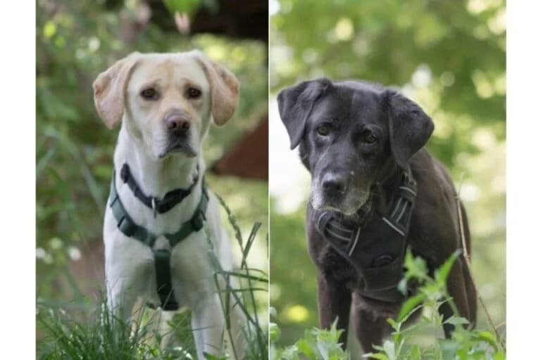 Lydia + Basti photo 3