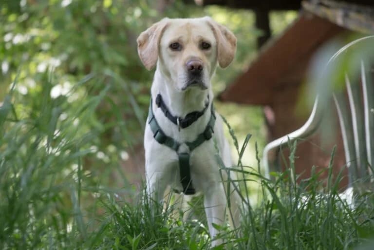 Lydia + Basti photo 4