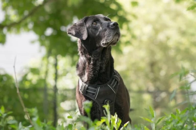 Lydia + Basti photo 5