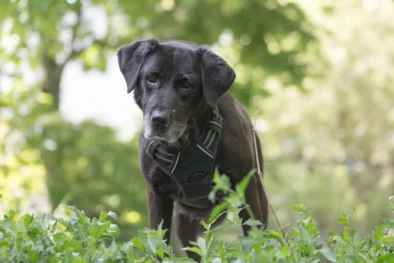 Lydia + Basti photo 7