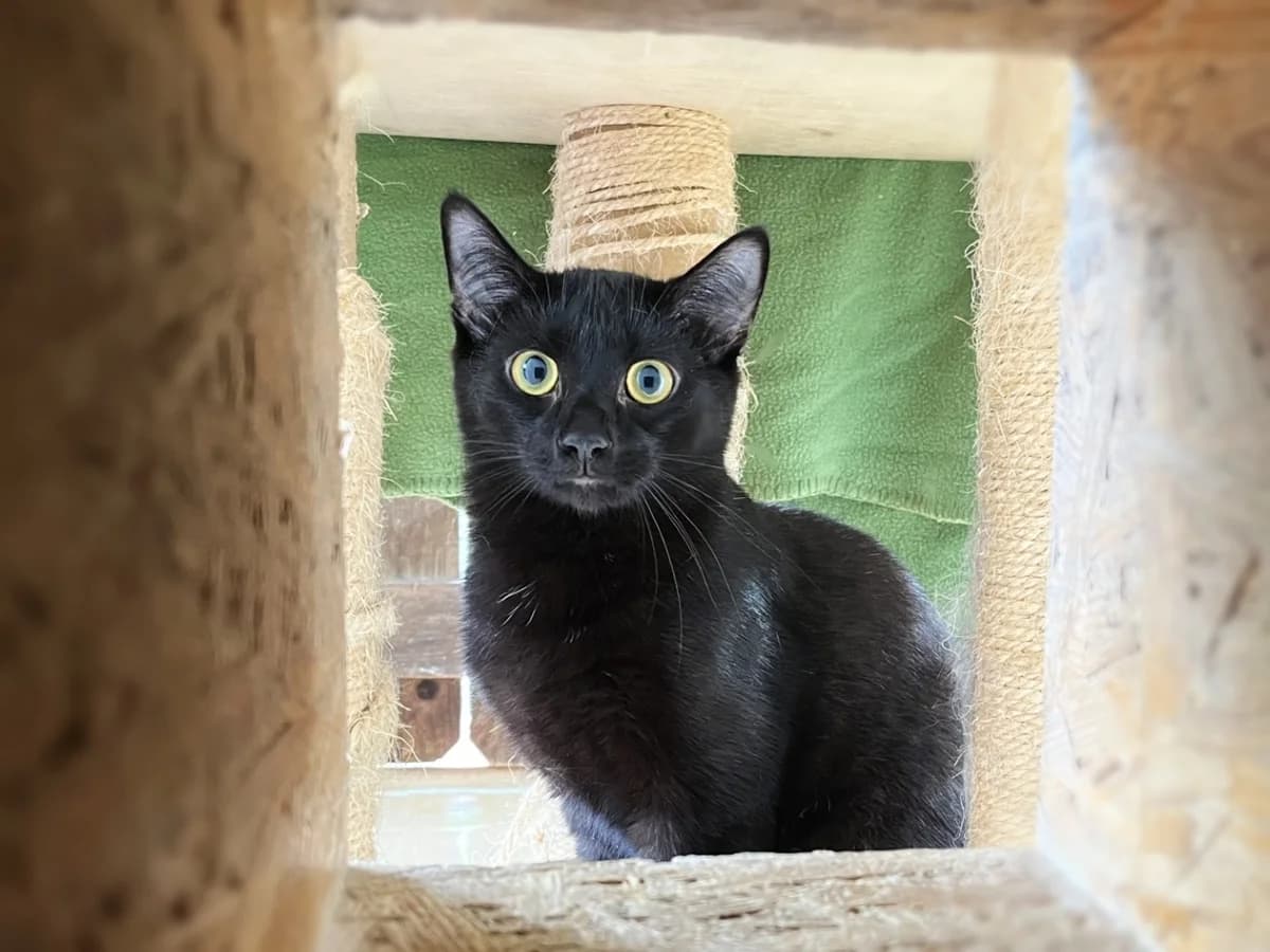 Bilbo & Frodo photo 2