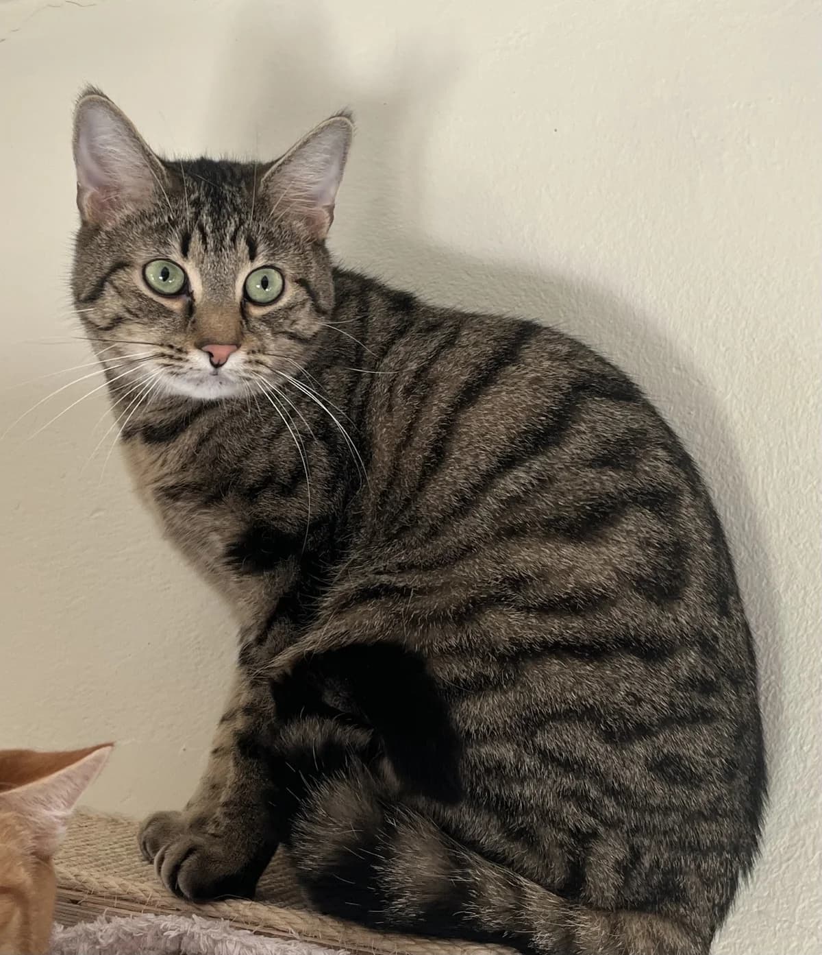 Bilbo & Frodo photo 5