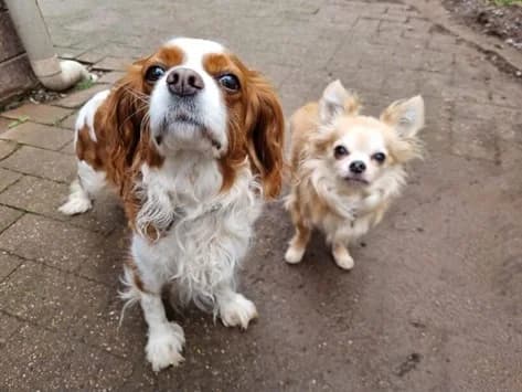 Tomy (samen met Peggy)