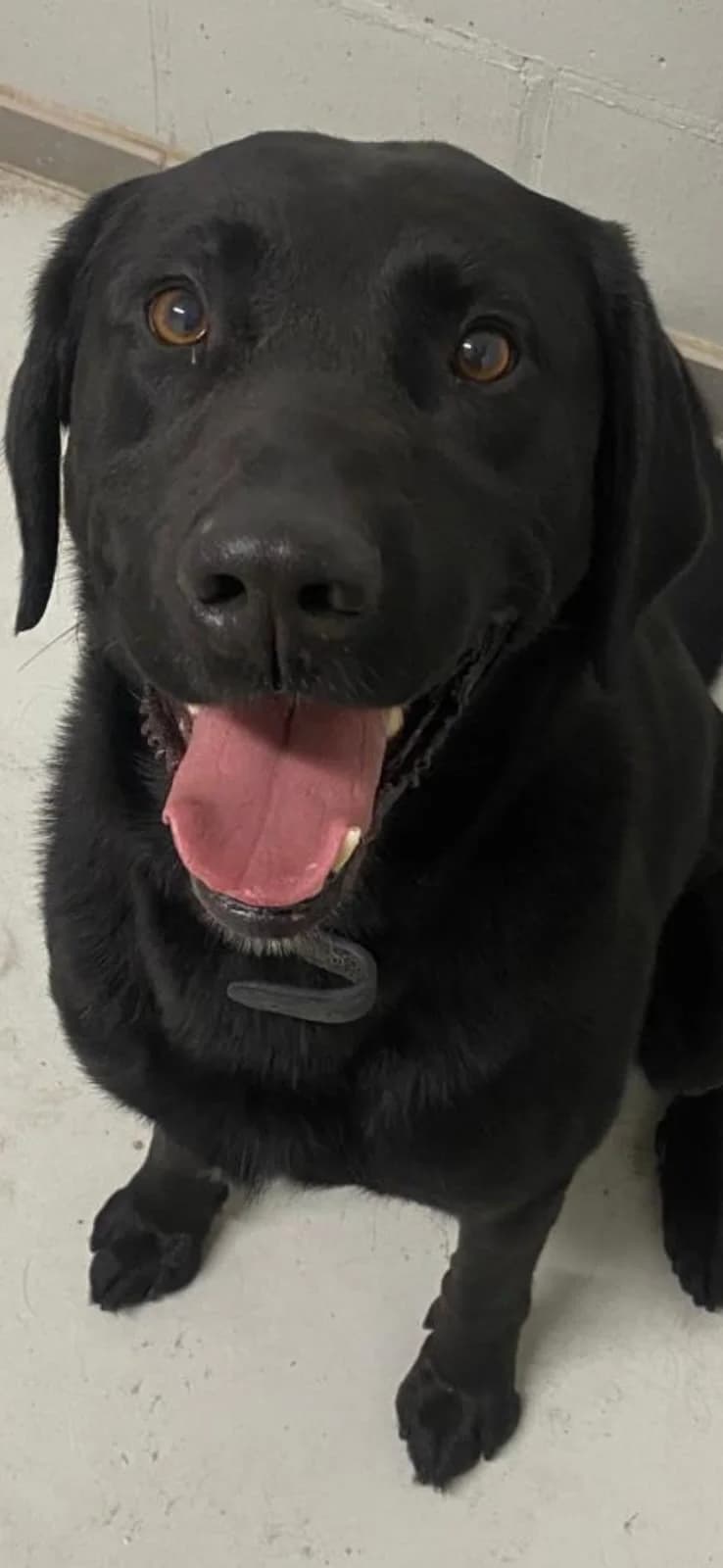 Tieki - gereserveerd