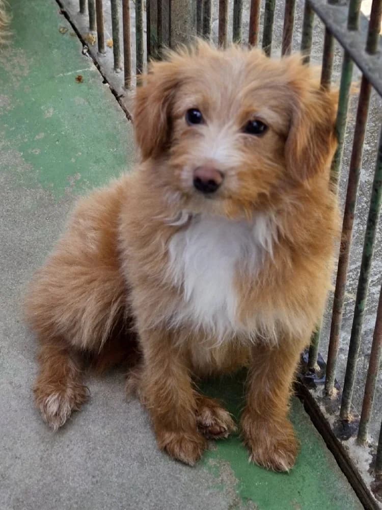 SULLIVAN 24561 photo 7