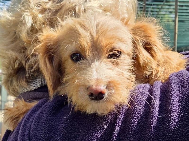 SULLIVAN 24561 photo 8