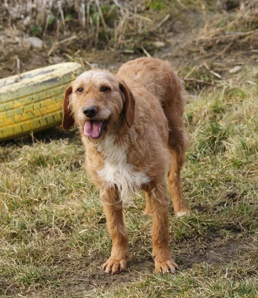 ❤️Elias❤️ photo 3