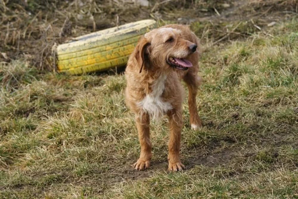 ❤️Elias❤️ photo 4