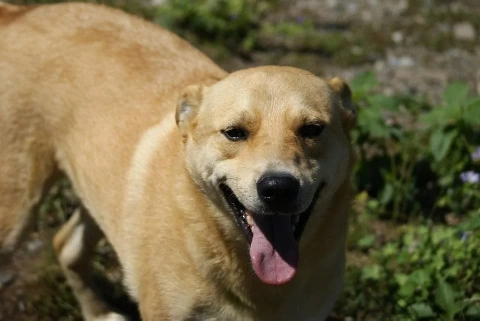 ❤️Fred❤️ photo 7