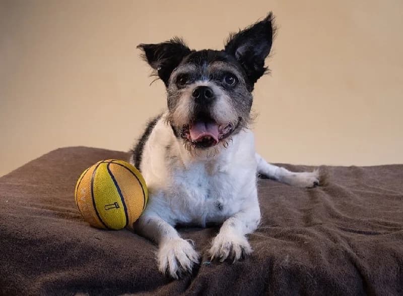 STOEMPERKE 9897 photo 3