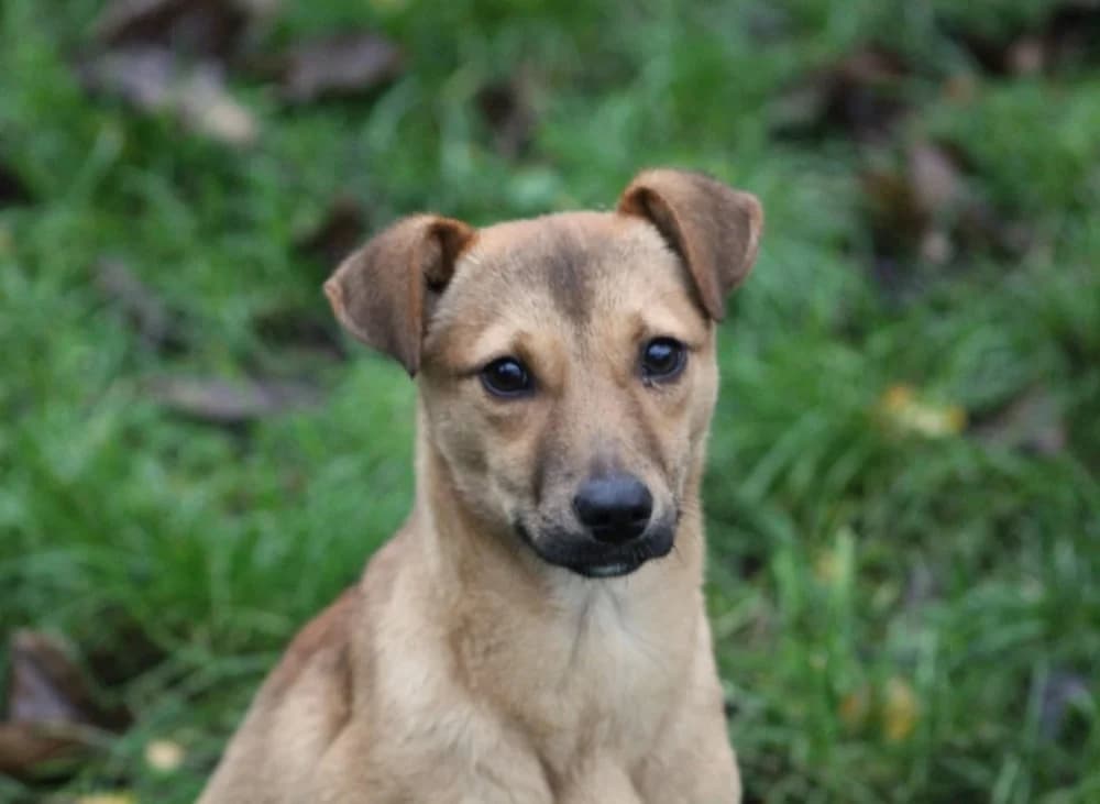 ❤️Abby❤️ – in België