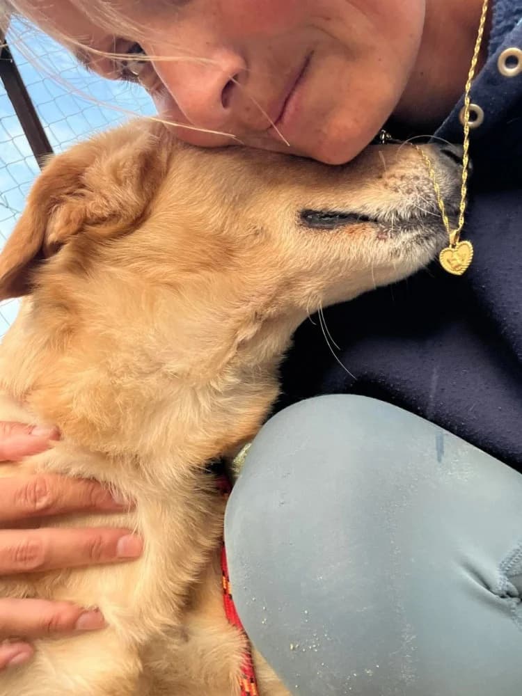 ADONIS*kattest mogelijk! photo 8