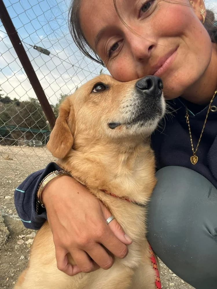 ADONIS*kattest mogelijk! photo 2