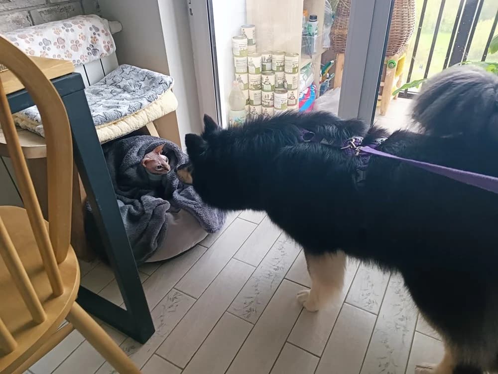 Arisha een liefdevol hart photo 7