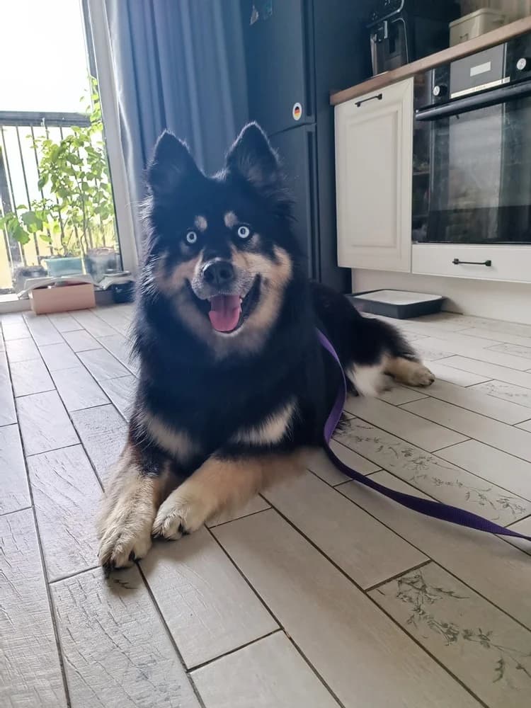 Arisha een liefdevol hart photo 3