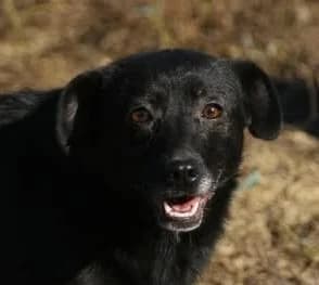 ❤️Beauty❤️ photo 7