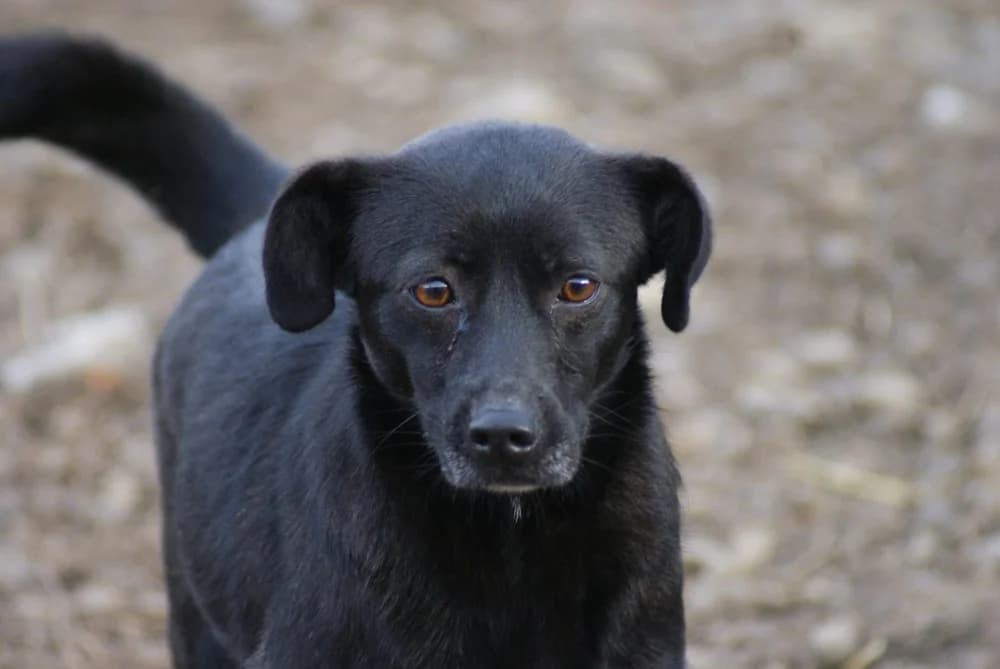 ❤️Beauty❤️ photo 8