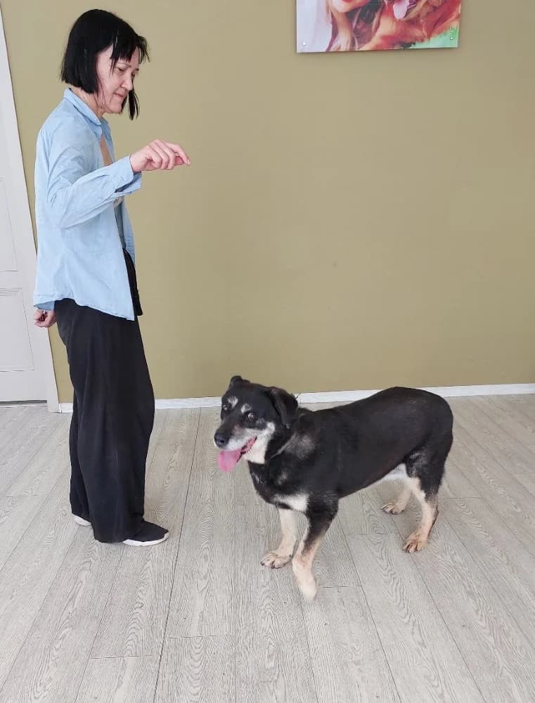 Boni zoekt haar baasje photo 4