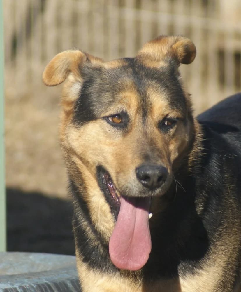 ❤️Calin❤️ photo 7