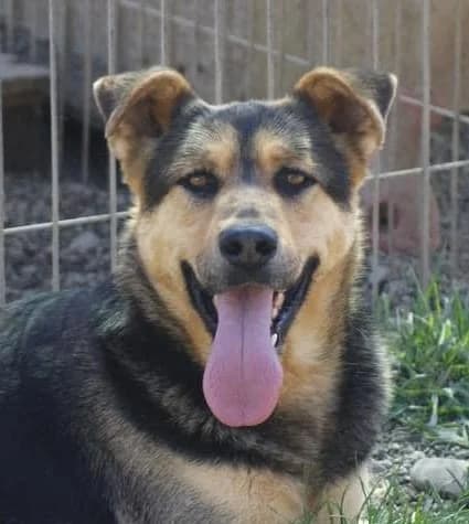 ❤️Calin❤️ photo 8