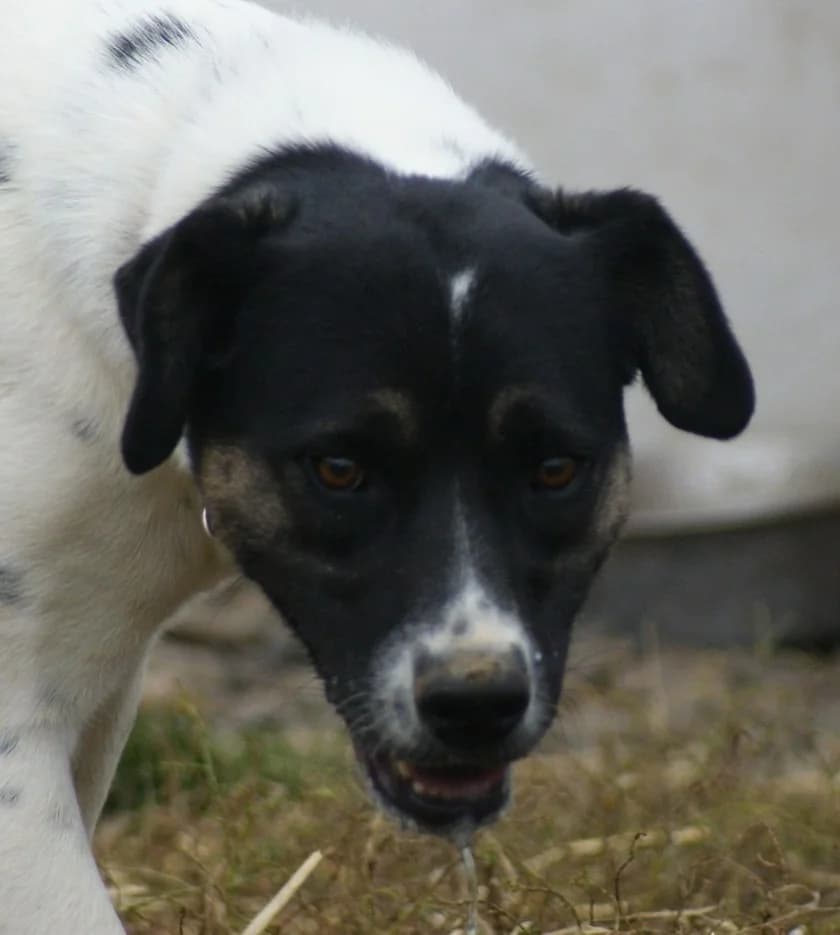 ❤️Cara Mia❤️ photo 8