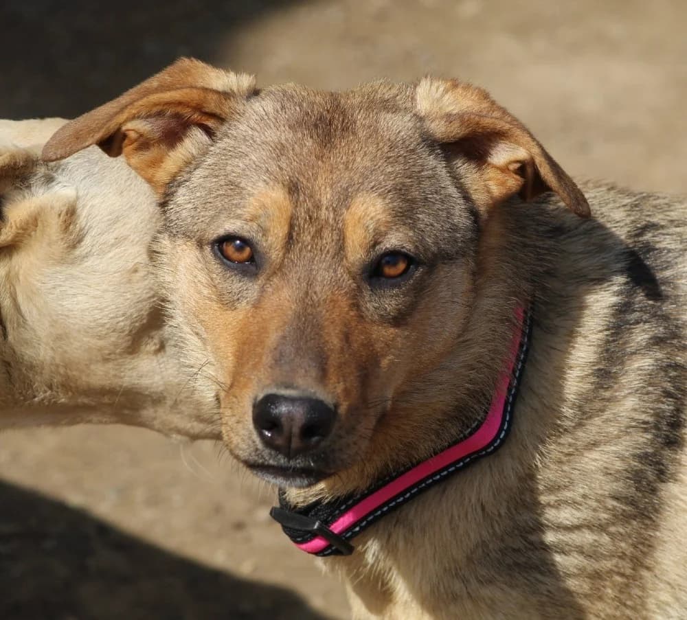 ❤️Carmela❤️ photo 7