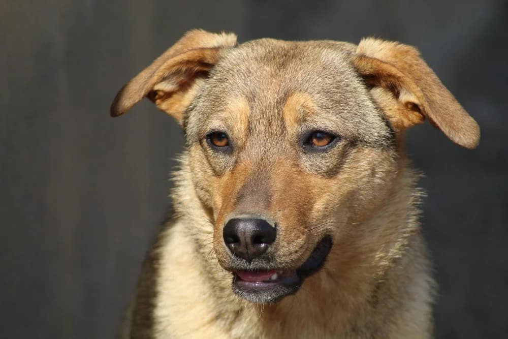 ❤️Carmela❤️ photo 8