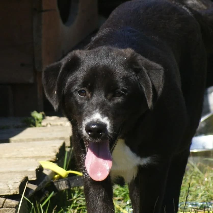 ❤️Charlotte❤️ photo 7