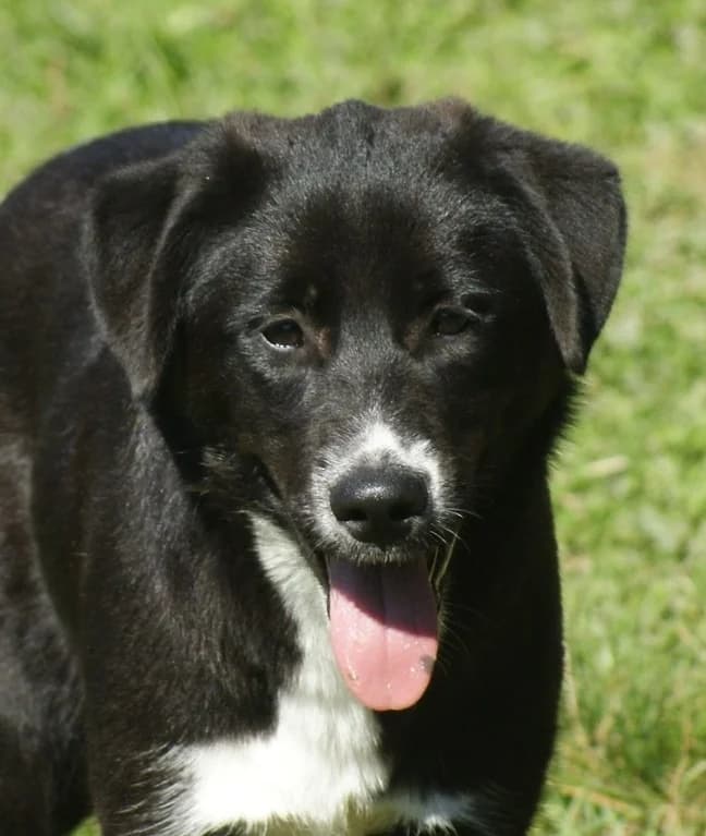 ❤️Charlotte❤️ photo 8