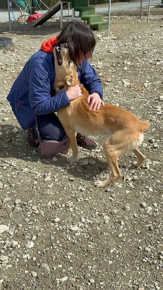 COOPER *kattest mogelijk! photo 8