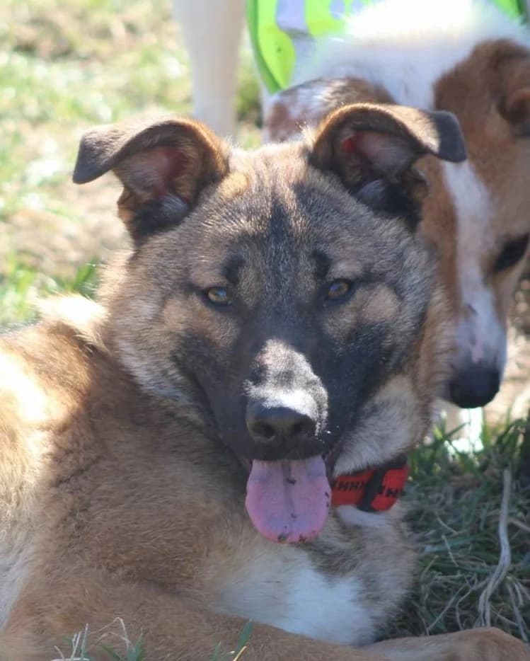 ❤️Doinita❤️ photo 7