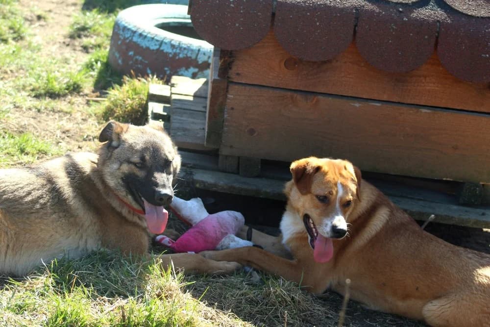 ❤️Doinita❤️ photo 8