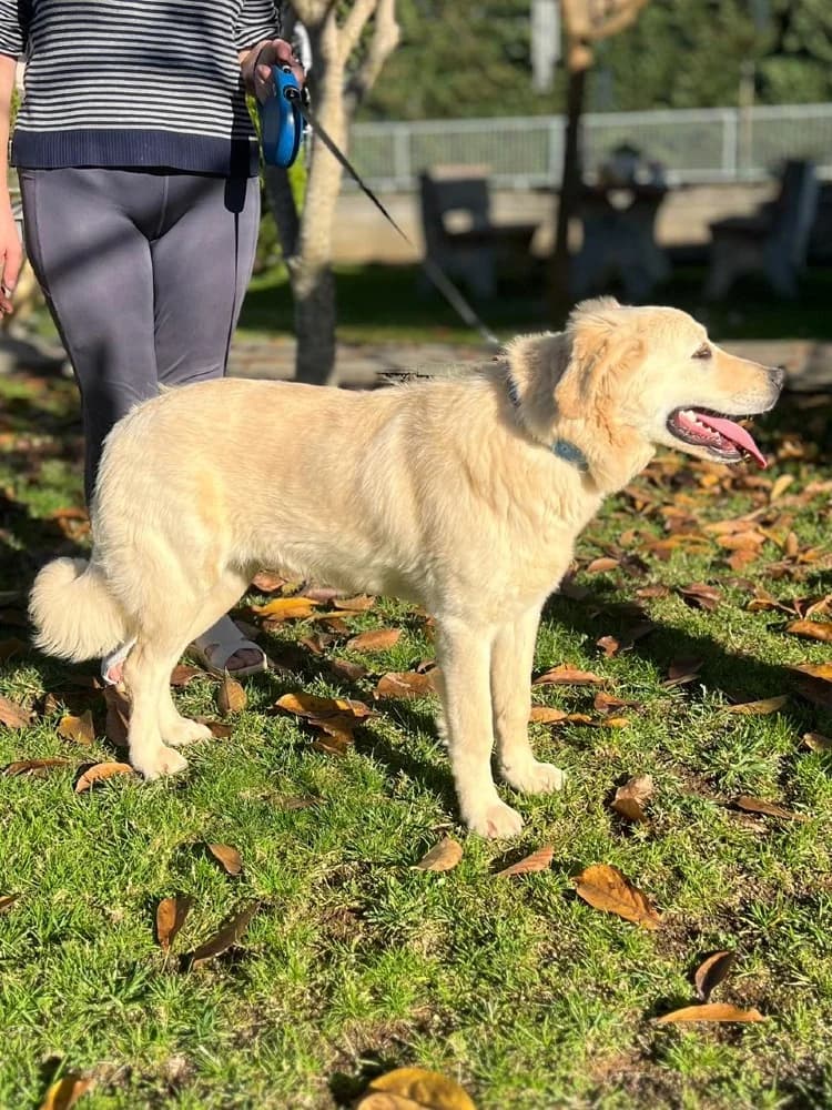 Emily Ioannina photo 5