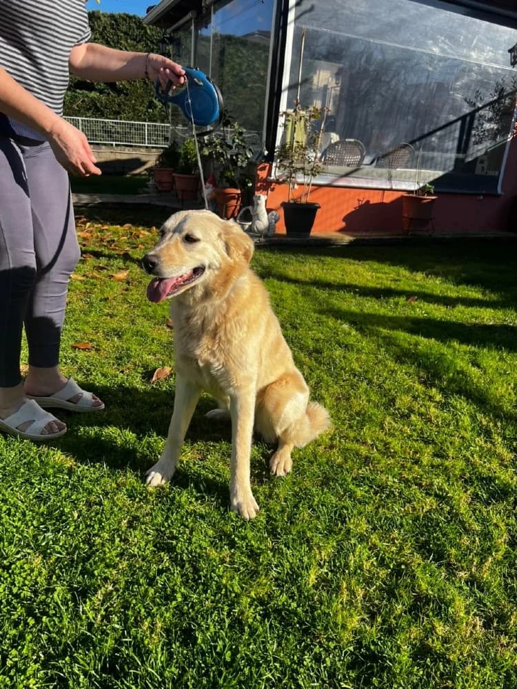 Emily Ioannina photo 6