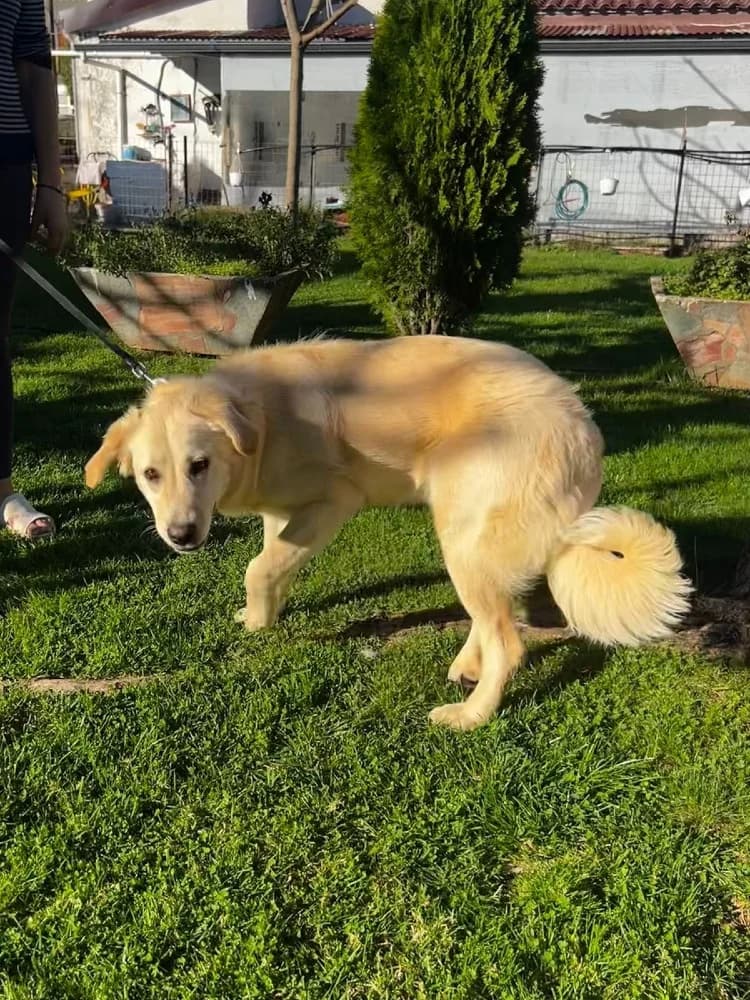 Emily Ioannina photo 7