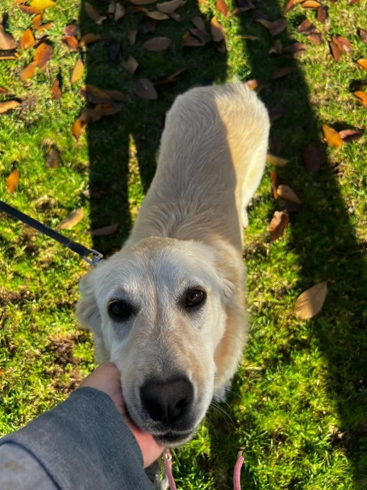 Emily Ioannina photo 8