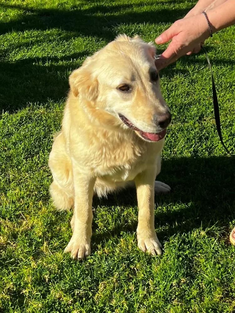 Emily Ioannina photo 2