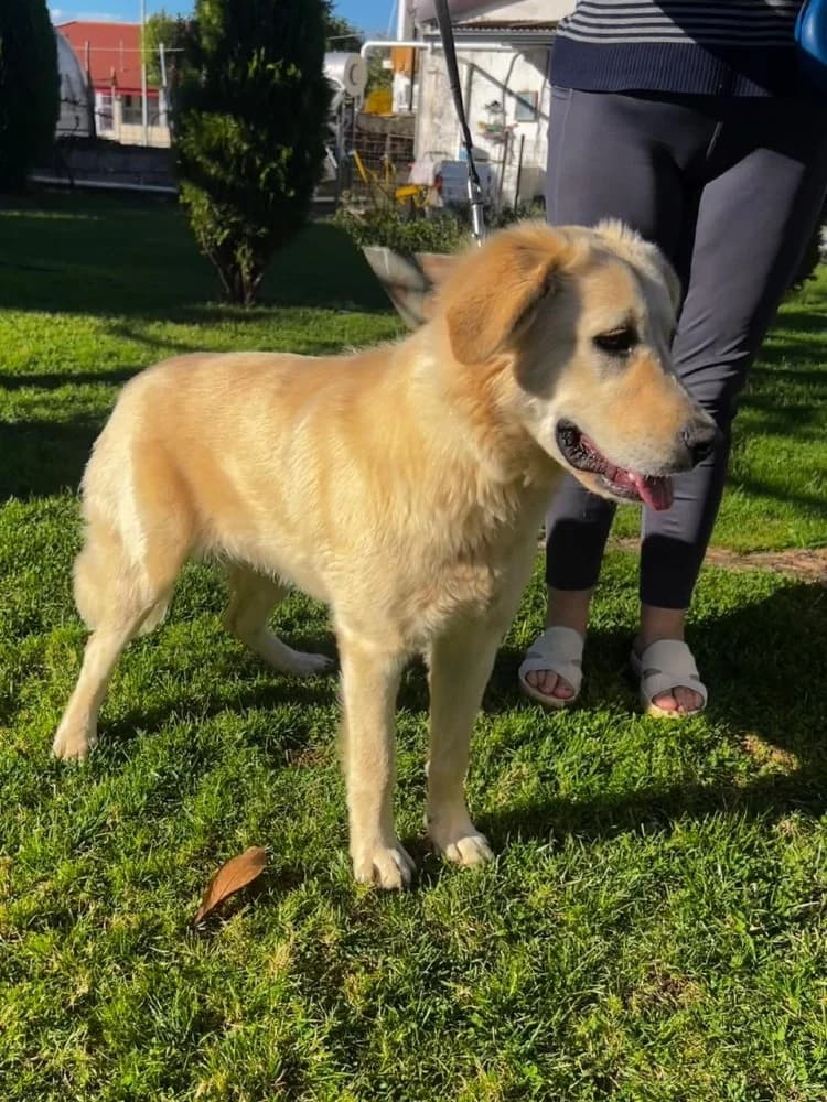 Emily Ioannina photo 3