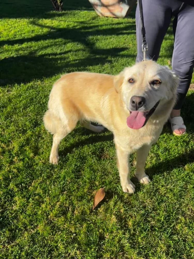 Emily Ioannina photo 4