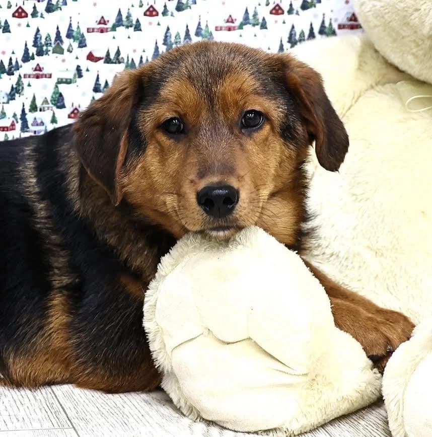 Fiona kleine prinses photo 7