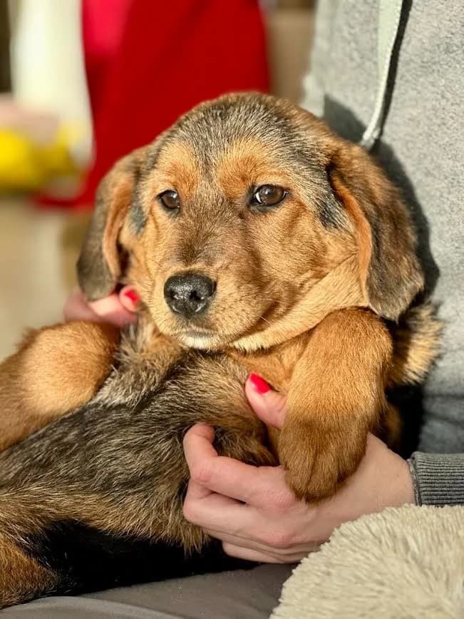 Fiona kleine prinses photo 8