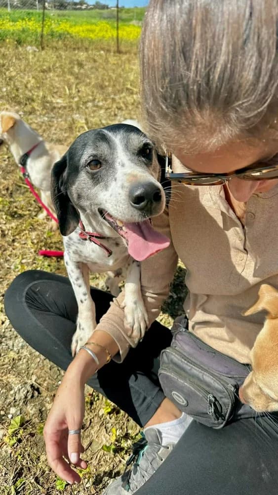 KOKOS * katvriendelijk! photo 7