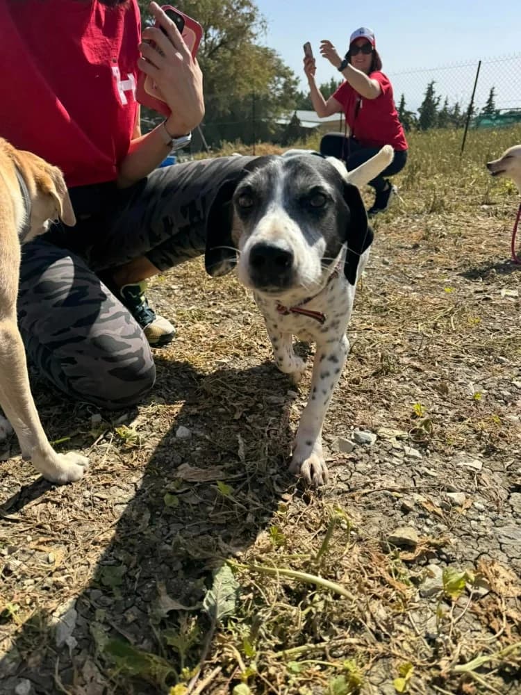 KOKOS * katvriendelijk! photo 3